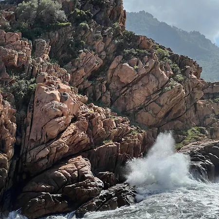 Le Porto * Porto (Corsica)